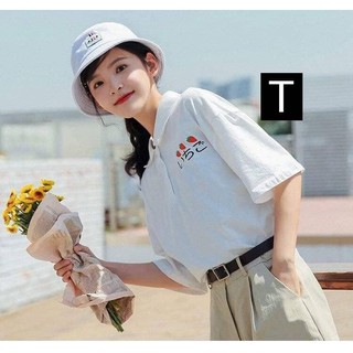 Áo cổ bẻ 3 quả dâu_tr3031