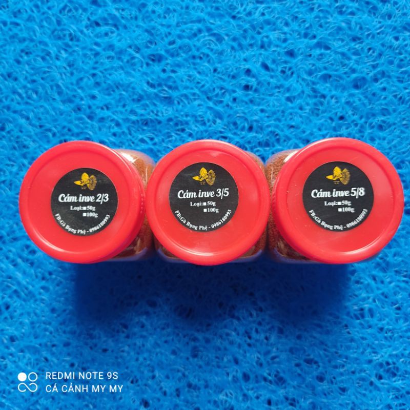 Cám thái inve 2/3 - 3/5 - 5/8 | Thức ăn cá cảnh hũ 100g