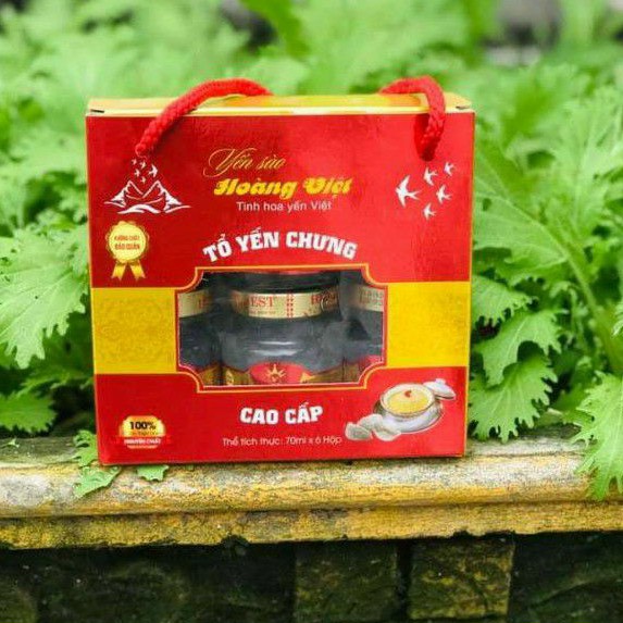 [30% yến tươi thiên nhiên] Yến sào Hoàng Việt chưng đường phèn | BigBuy360 - bigbuy360.vn