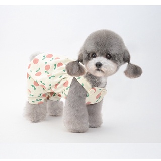 (HÌNH THẬT) YẾM QUẦN HOẠ TIẾT TRÁI TÁO DỄ THƯƠNG CHO THÚ CƯNG (jum cho chó mèo)