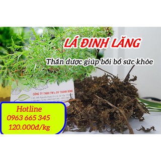Đinh Lăng Khô 100G