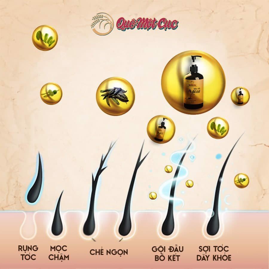 [500ml] Dầu gội thảo mộc , không kích ứng , mượt tóc , sạch gầu , nấm ngứa chống rụng tóc , dầu gội bồ kết cô đặc