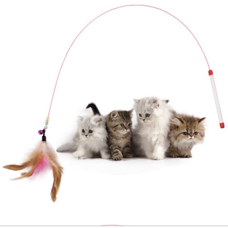 Cần Câu Mèo Dây Thép đồ chơi cho thú cưng, siêu bền, vui nhộn