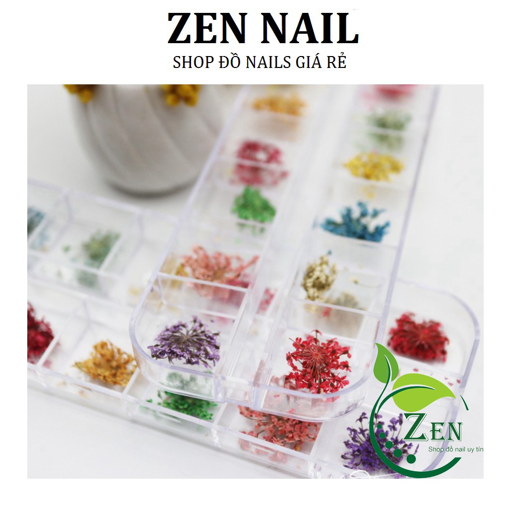 Hoa khô nail trang trí móng cánh nhỏ 12 màu