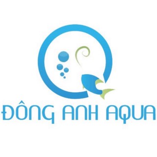 Đông Anh Aqua - Cậu Bé Bán Cá