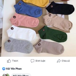 Tất gấu người lớn