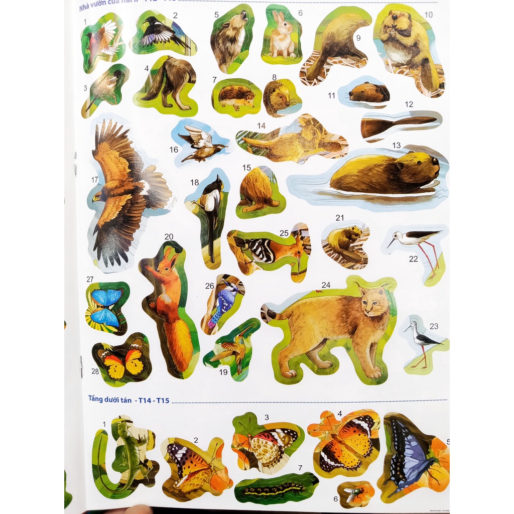 Sách - 291 Sticker Thế Giới Động Vật  Phát Triển Chỉ Số IQ-EQ-CQ - ndbooks