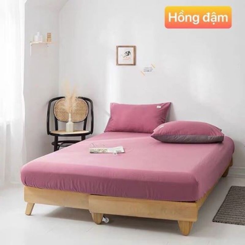 (hot sale giảm sốc) Bộ ga gối tc nhập khẩu cao cấp (khách được chọn mẫu)