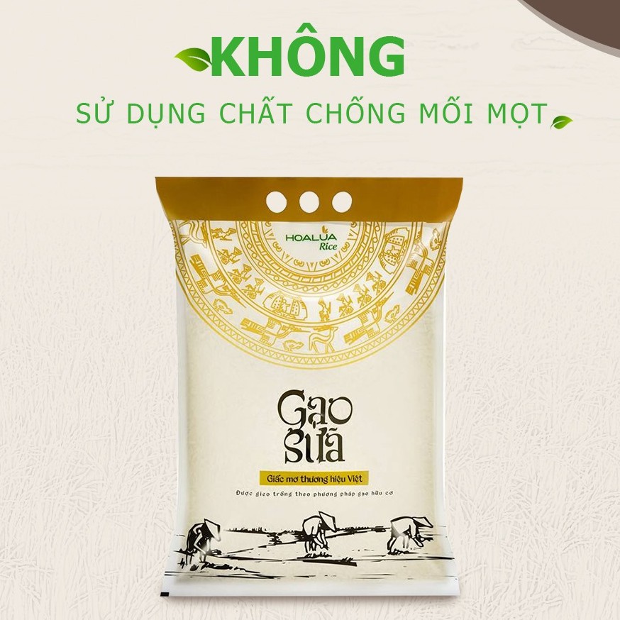 GẠO SỮA THƯỢNG HẠNG 5kg - Gạo Hoa Lúa