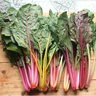 100 Hạt Giống Rau Cải Rổ