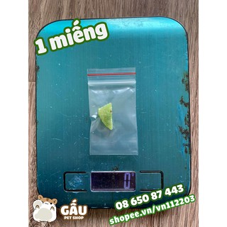Kiwi khô cắt lát cho Hamster