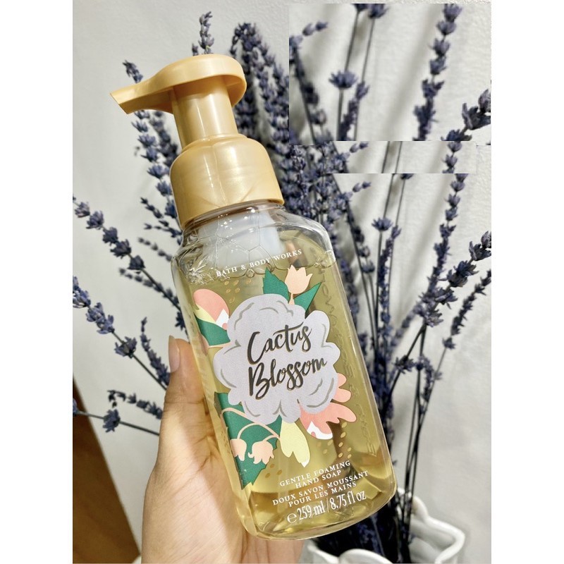 Xà phòng bọt rửa tay diệt khuẩn Bath &amp; Body Works Gentle Foaming Hand Soap Cactus Blossom 259ml (Mỹ)