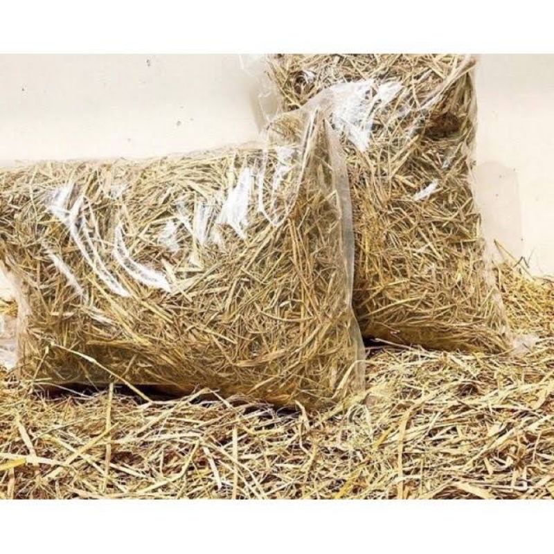 Combo 5kg Rơm khô/rơm trang trí/rơm cho pet