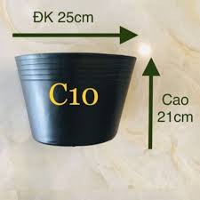 Combo 100 chậu ươm cây, trồng cây C10