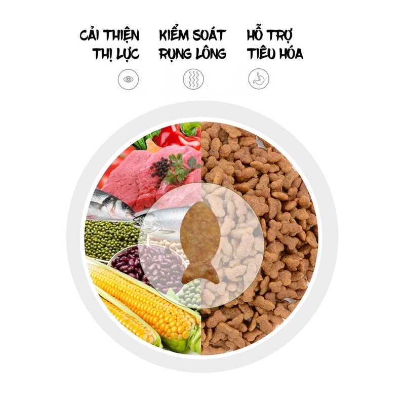 (SIÊU TIẾT KIỆM) Hạt cateye cho mèo 1kg giá tốt, tặng kèm súp thưởng/ xúc xích