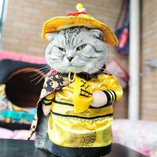 BỘ ÁO COSPLAY HOÀNG THƯỢNG VI HÀNH DÀNH CHO CHÓ MÈO