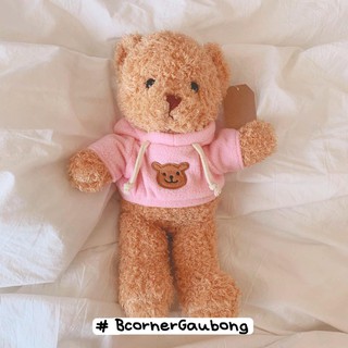 Gấu Bông Mặc Áo Hoodie