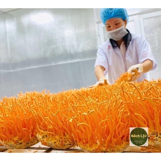 Đông Trùng Hạ Thảo - Sấy Thăng Hoa