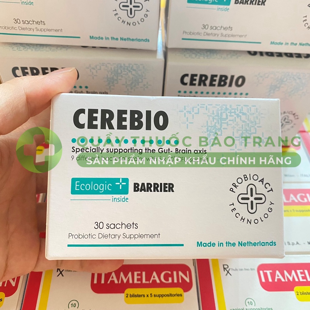 Cerebio - Men vi sinh Hỗ trợ cải thiện sức khỏe đường ruột