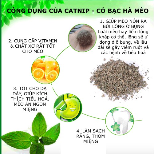 CATNIP - CỎ BẠC HÀ CHO MÈO - CHỌN LOẠI