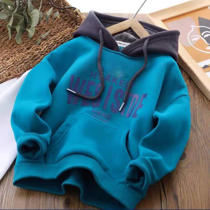 Áo khoác nỉ hoodie trẻ em thu đông dày dặn siêu yêu cho bé trai bé gái 6-65kg WESISTDE