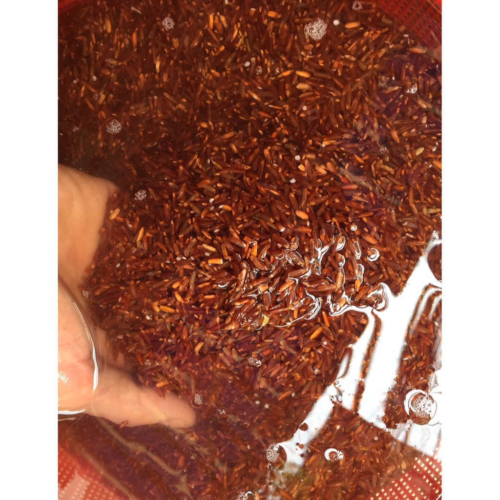 Gạo huyết rồng (gạo rồng ) Có hút chân không | BigBuy360 - bigbuy360.vn