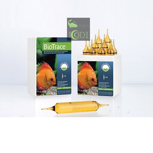 Vi sinh PRODIBIO BioTrace (1 ống lẻ)