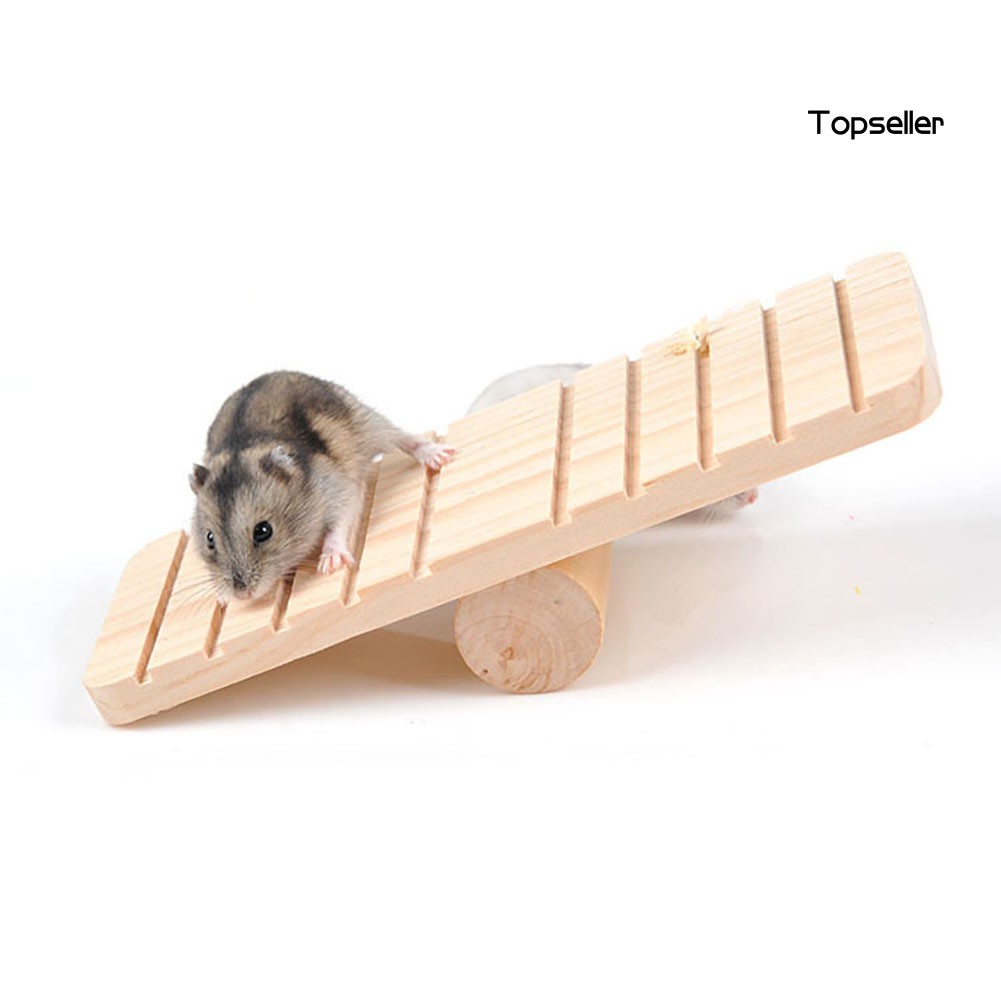 Đồ Chơi Bằng Gỗ Tự Làm Cho Chuột Hamster