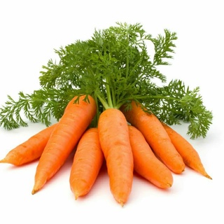 Hạt giống cà rốt orange giàu dinh dưỡng - gói 2g