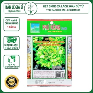 Hạt Giống Rau Xà Lách Xoăn Sư Tử Hạt Đen Chịu Nhiệt, Dễ Trồng - Phú Nông Seeds - Key: Đất sạch, Phân Bón, Hữu Cơ, Xơ Dừa