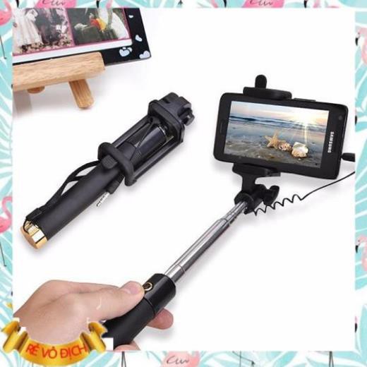 Gậy tự sướng xi sắt đẹp long lanh