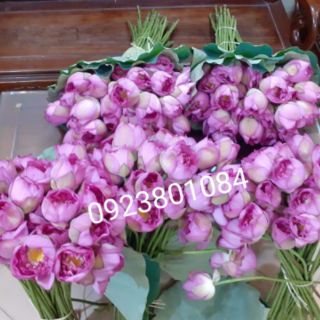 Chè sen Tây Hồ-Chè sen