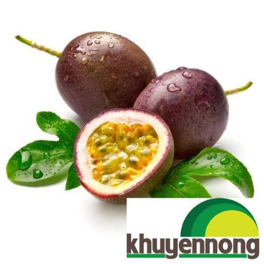 10 hạt Hạt giống chanh leo
