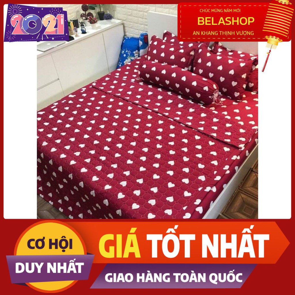 Bộ ga gối kèm vỏ gối ôm Drap Cotton Poly Vikona mã GGO05