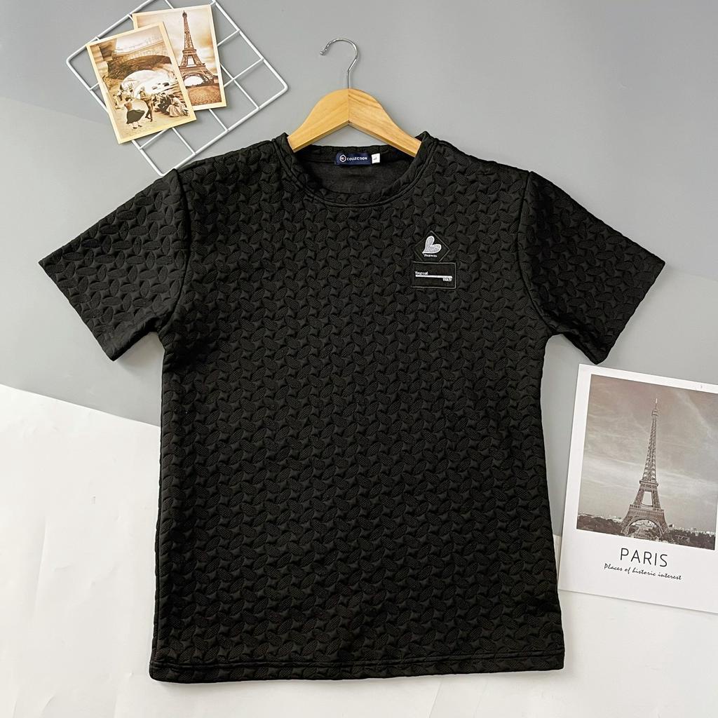 Áo thun nam ngắn tay cổ tròn vải xốp dập nổi sang xịn mịn ⚡The Lizard⚡