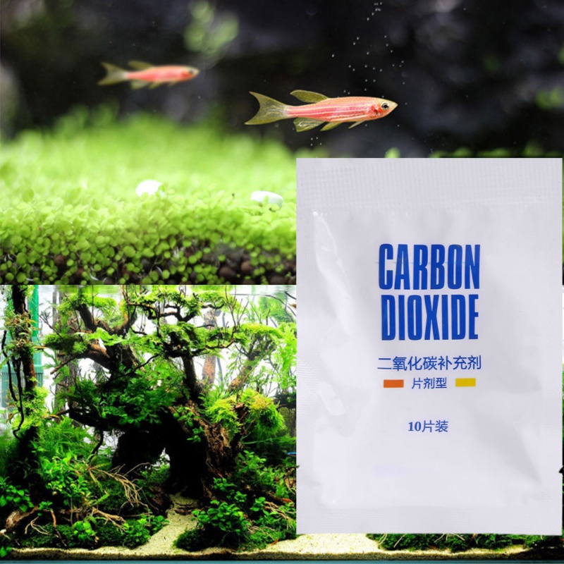 Set 10 Viên Sủi Carbon Dioxide CO2 Chuyên Dụng Cho Bể Cá