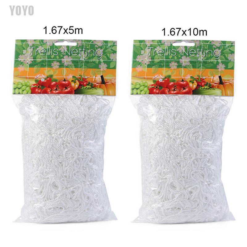 Lưới trồng cây lelo tiện dụng cho sân vườn