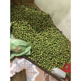 4kg táo mèo tươi
