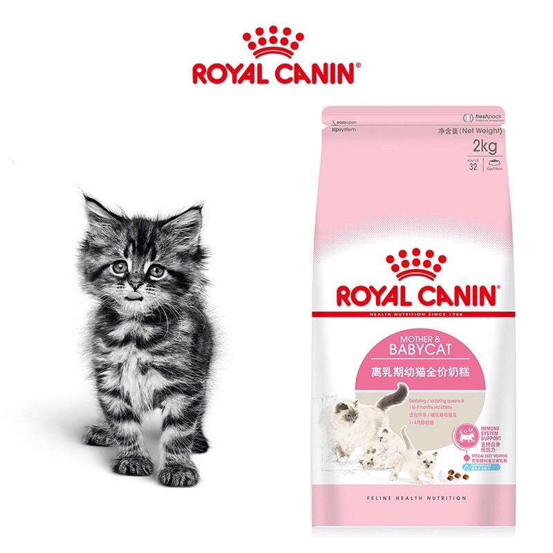 Thức Ăn Hạt Royal Canin Mother And Babycat Dành Cho Mèo Mẹ Và Mèo Sơ Sinh