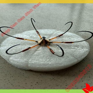 {( big sale )} Lưỡi câu lục [ rẻ vô địch ] hàng chuẩn