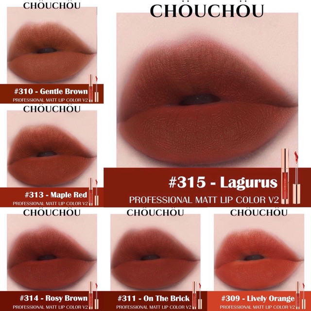 Son Chouchou Professional Matt Lip Color Ver 2