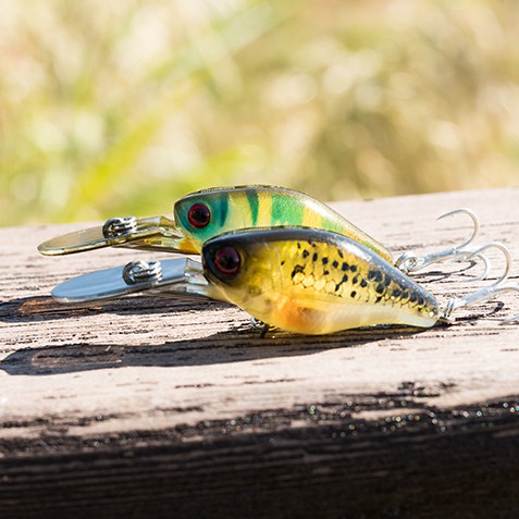 Kingdom Mồi câu cá giả cứng 50mm 5g