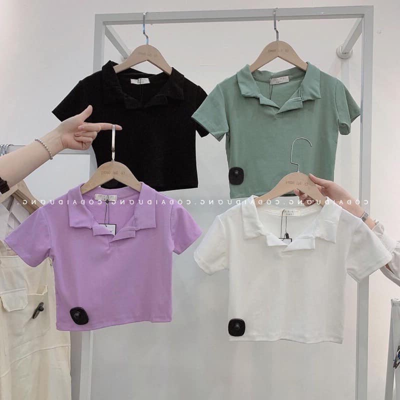 Áo croptop polo Unisex cộc tay nhiều màu vải đẹp Bingshop