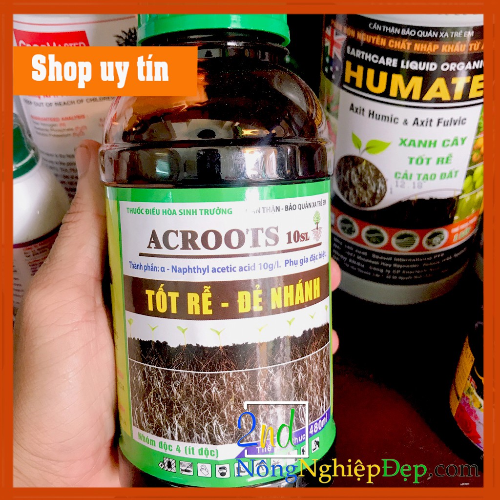 10 chai Acroots 10SL – Tốt Rễ, Đẻ Nhánh - 480ml