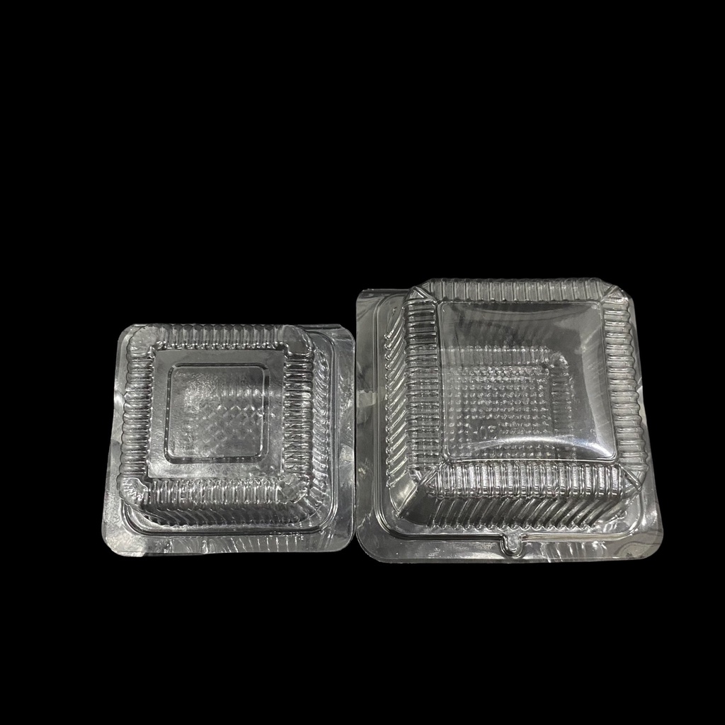 100 Hộp nhựa vuông dùng 1 lần H05/H17