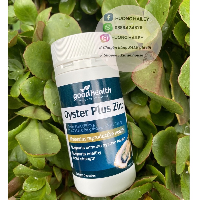 Viên uống hàu Úc