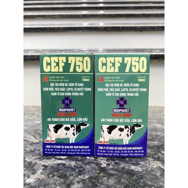 1 lọ CEF 750 dùng cho trâu bò lợn gà chó mèo