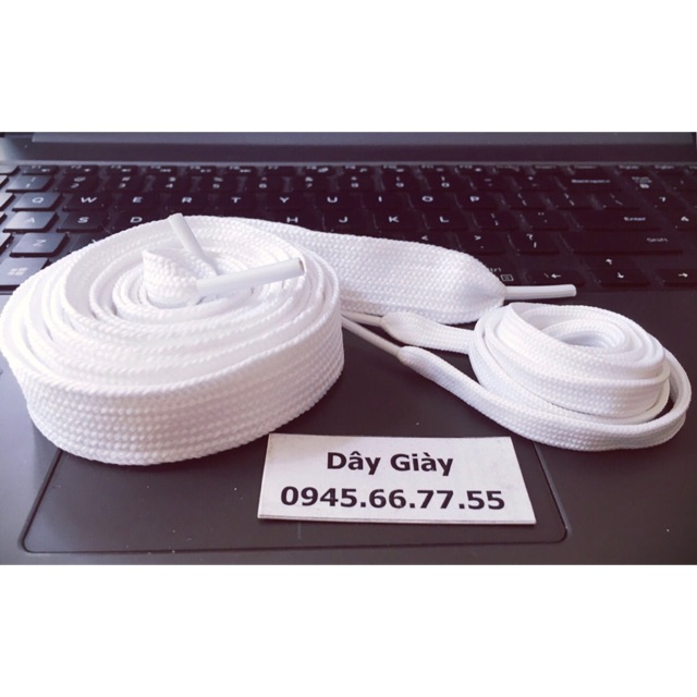 Dây giày bản to mcqueen