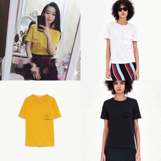 Áo phôg zara authentic
