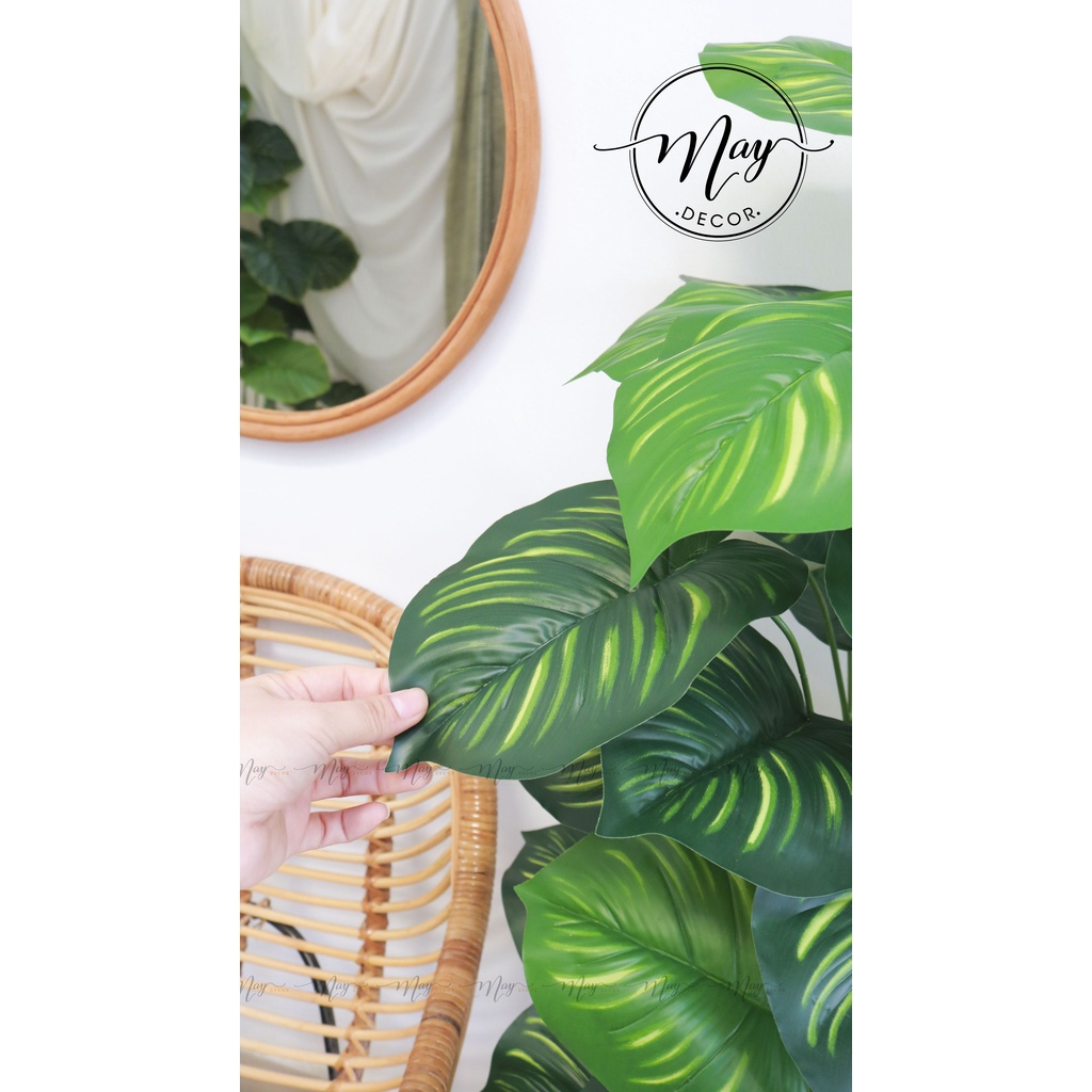 Cây giả, Cây Lá Rùa, Trầu Bà Monstera, Môn Đốm